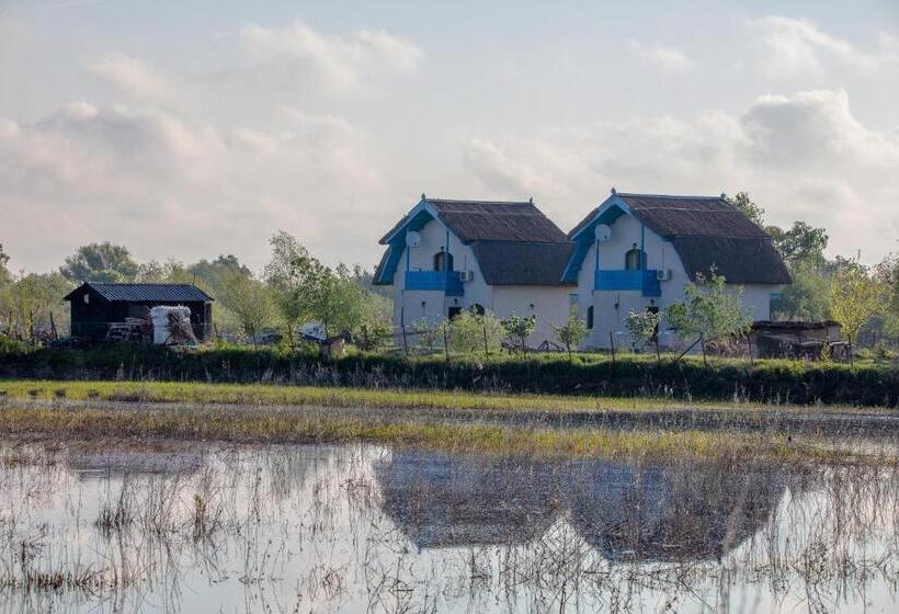 Вилла 1 Спальня, Vulturul Pescar