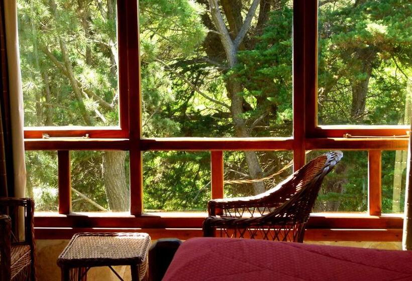 스탠다드 룸, Hostería Y Cabañas Altamar De Las Pampas