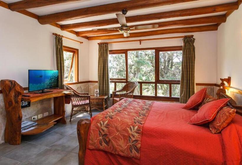 스탠다드 룸, Hostería Y Cabañas Altamar De Las Pampas