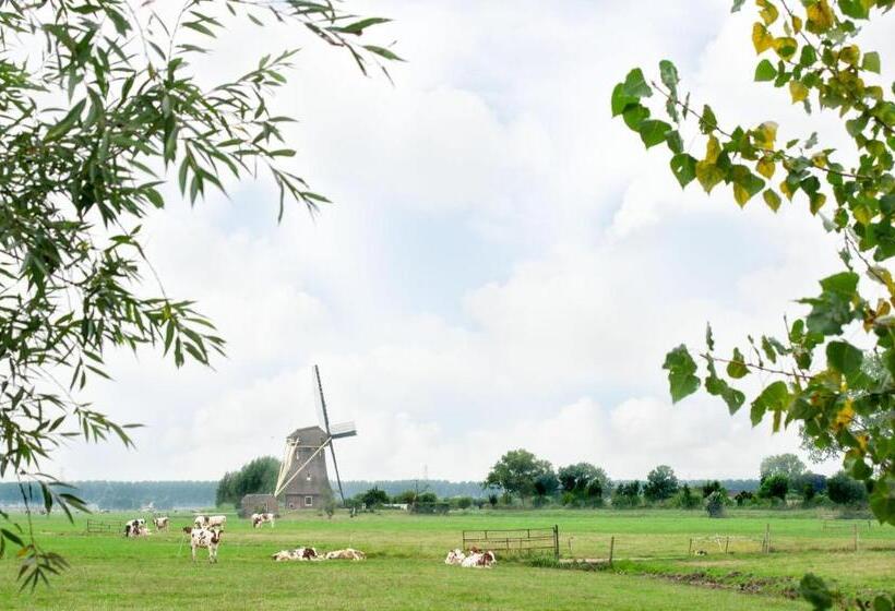 스탠다드 룸, De Willigen Logies