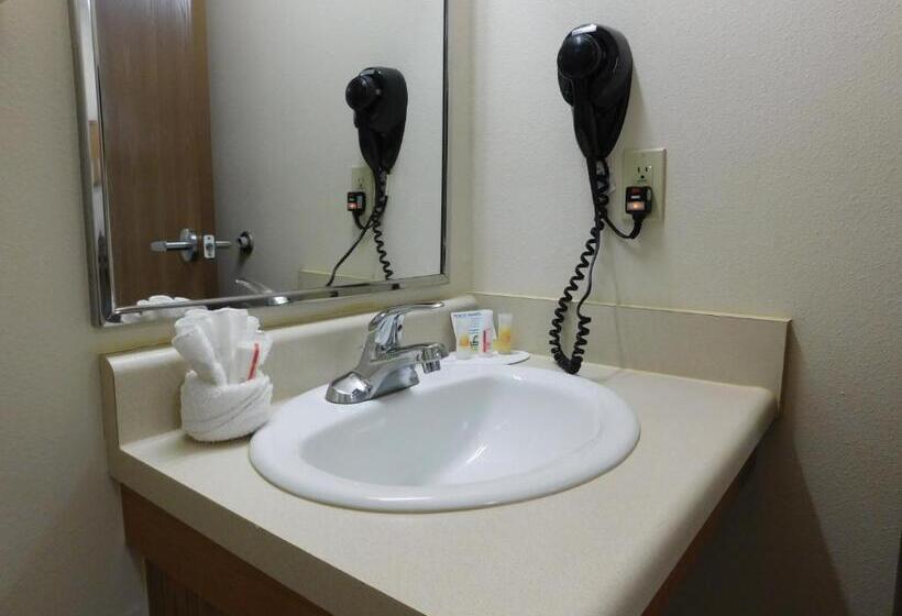 标准间, Days Inn & Suites By Wyndham Rochester South