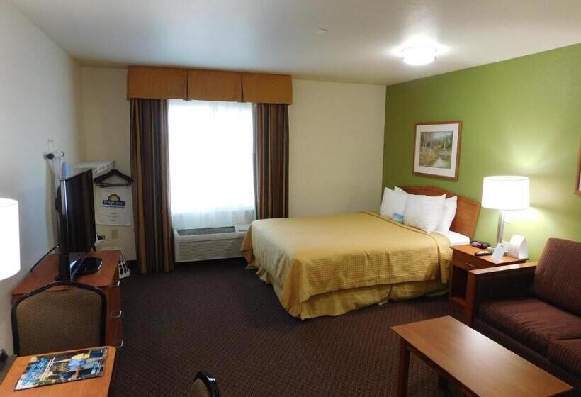 适用于残疾人士的豪华房间, Days Inn & Suites By Wyndham Rochester South