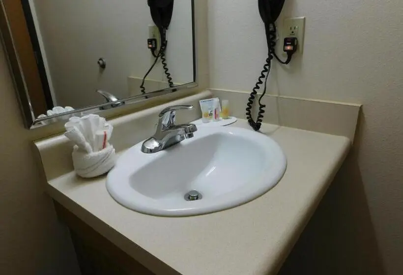 障害者適応デラックスルーム, Birch Hill Suites Rochester   Med City
