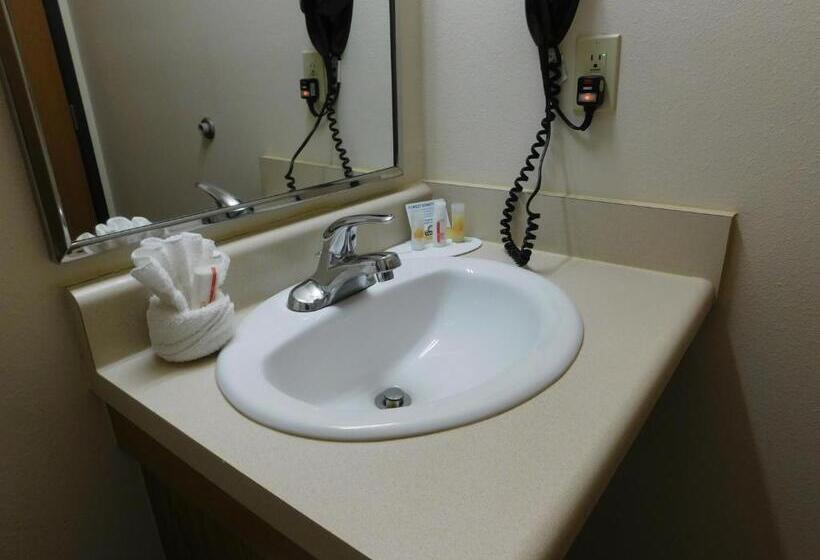 豪华房间, Days Inn & Suites By Wyndham Rochester South