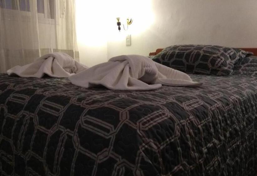 スタンダード４人部屋, Demi