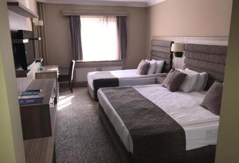 Номер Стандарт Трехместный, Grand Yazici Ski Hotel & Spa