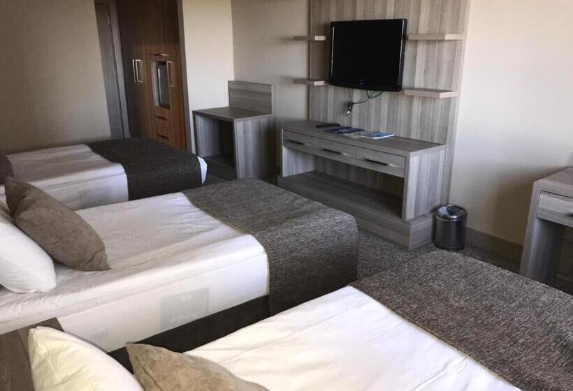 Номер Стандарт Трехместный, Grand Yazici Ski Hotel & Spa