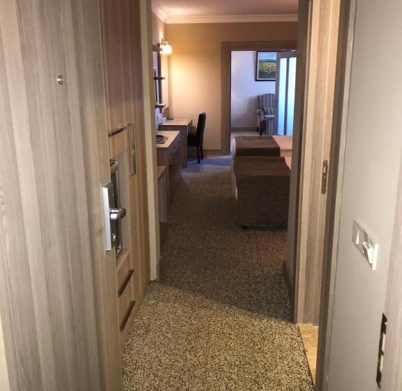 Семейный Номер Совместный Санузел, Grand Yazici Ski Hotel & Spa