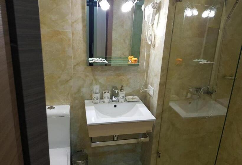 استودیوی استاندارد, New Gudauri Sunny Studio