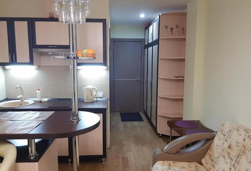 استودیوی استاندارد, New Gudauri Sunny Studio
