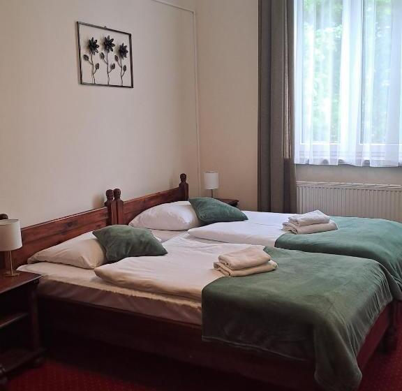 스탠다드 룸, Aslan