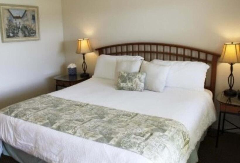 חדר סטנדרט עם מיטת קינג, Back Bay Inn