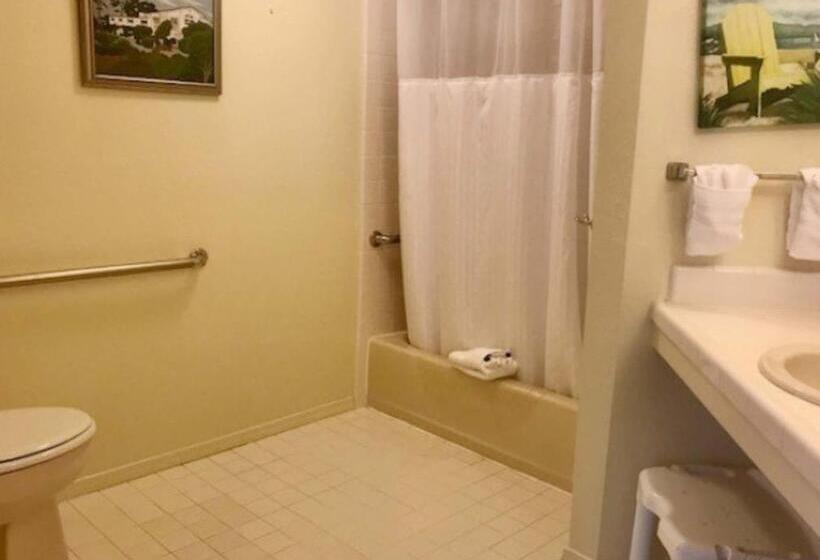 חדר סטנדרט, מיטת קינג, מותאם לאדם עם מוגבלויות, Back Bay Inn