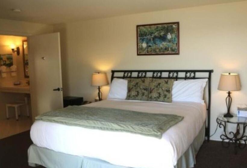 Quarto Estandar Cama King para Deficientes Físicos, Back Bay Inn