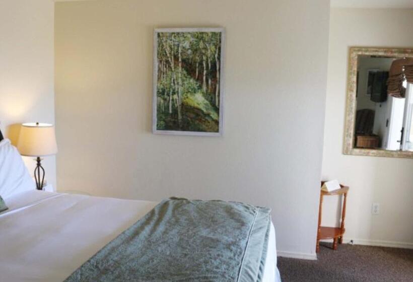 חדר סטנדרט, מיטת קינג, מותאם לאדם עם מוגבלויות, Back Bay Inn