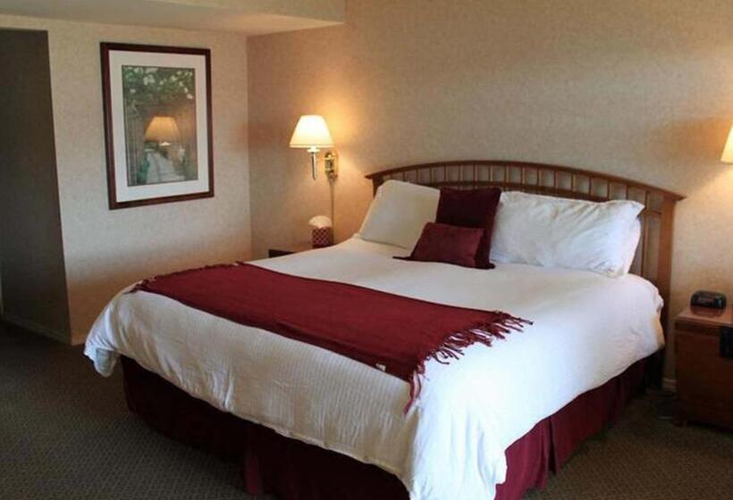Quarto Estandar Cama King, Back Bay Inn