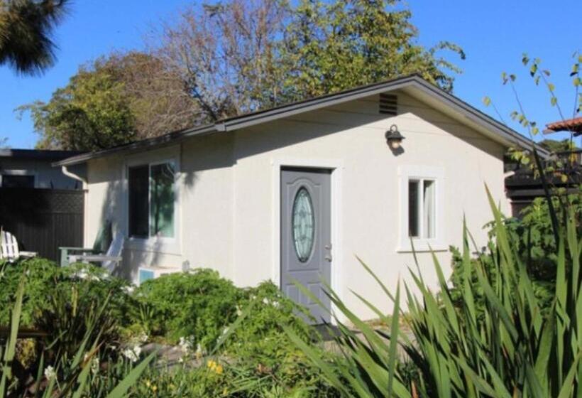 חדר דחוקס עם מיטת קינג, Back Bay Inn