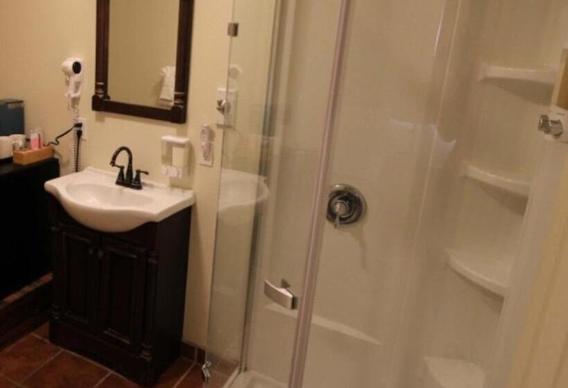 חדר דחוקס עם מיטת קינג, Back Bay Inn