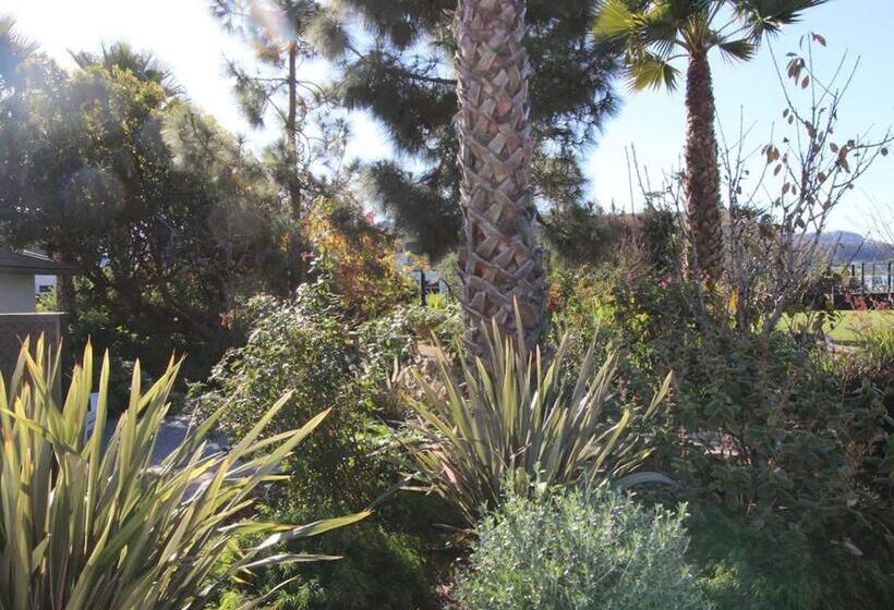 בקתה סטנדרטית, Back Bay Inn