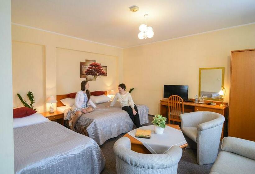 스탠다드 룸, Dana