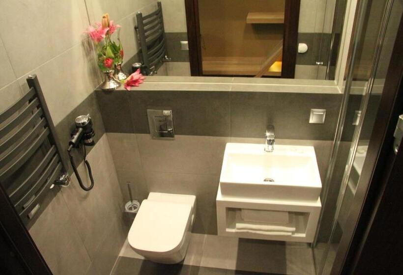 Номер Deluxe Одноместный, Dunajec