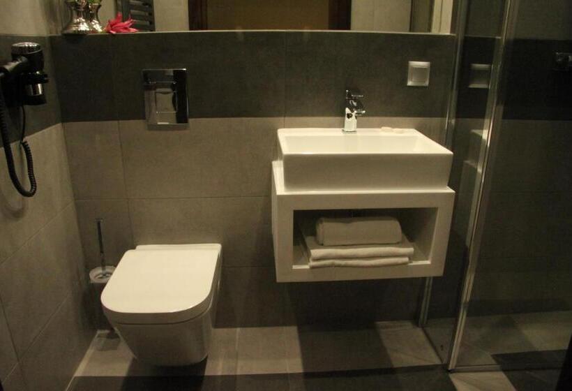 Номер Deluxe Одноместный, Dunajec