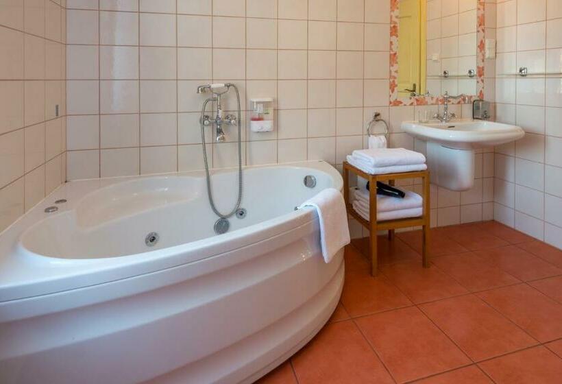 Апартаменты 1 Спальня, Dworek 1885