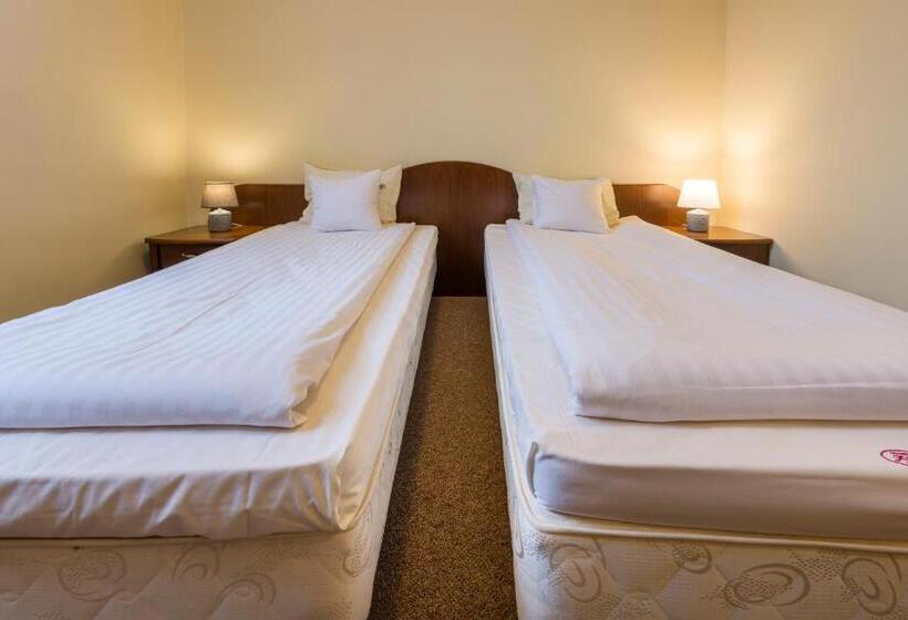 חדר סטנדרט מותאם לאדם עם מוגבלויות, Dworek 1885