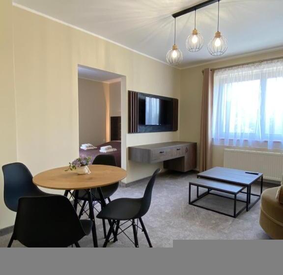 شقة ديلوكس غرفة واحدة, Dworek Bursztynowy