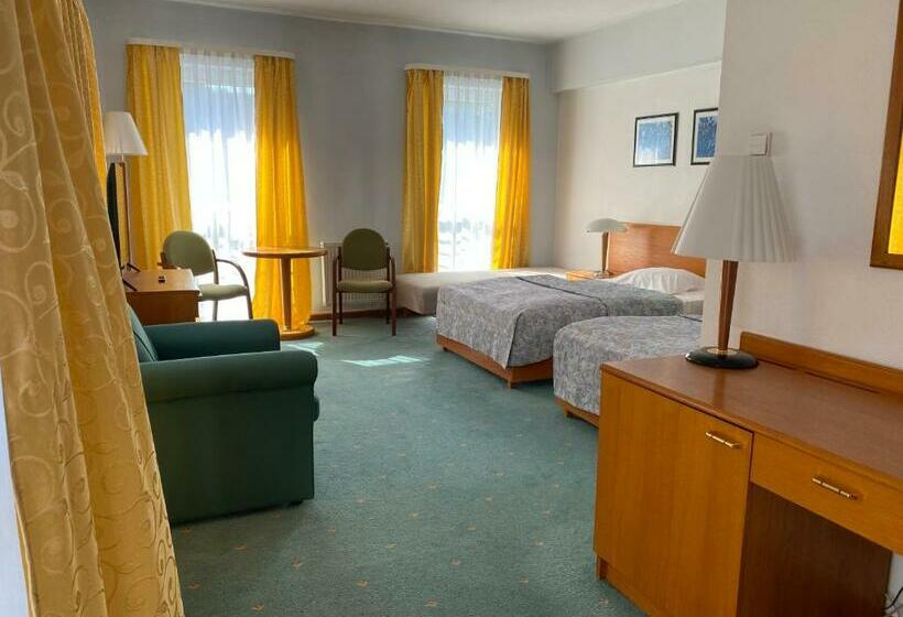 חדר סטנדרט, Elekt Czaplinek