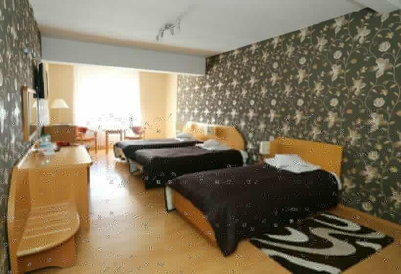 Номер Стандарт Трехместный, Gregor