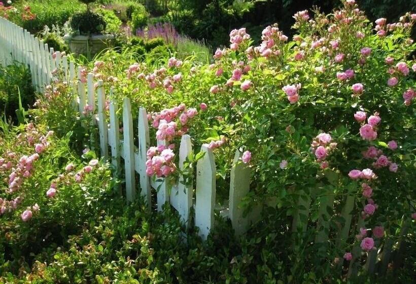 스탠다드 룸, Kirkwood Inn