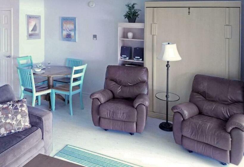 آپارتمان 1 خوابه با چشم‌انداز دریا, Ocean Terrace Condominiums