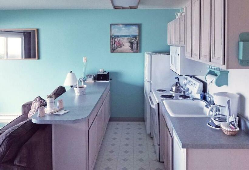 آپارتمان 1 خوابه با چشم‌انداز دریا, Ocean Terrace Condominiums