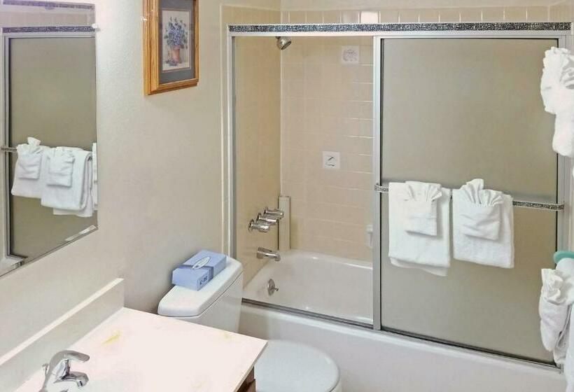 آپارتمان 1 خوابه با چشم‌انداز دریا, Ocean Terrace Condominiums