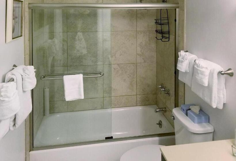 آپارتمان 1 خوابه با چشم‌انداز دریا, Ocean Terrace Condominiums