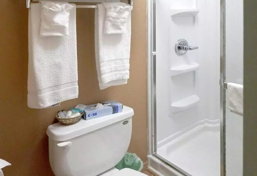 1ベッドルームアパートメント, Ocean Terrace Condominiums
