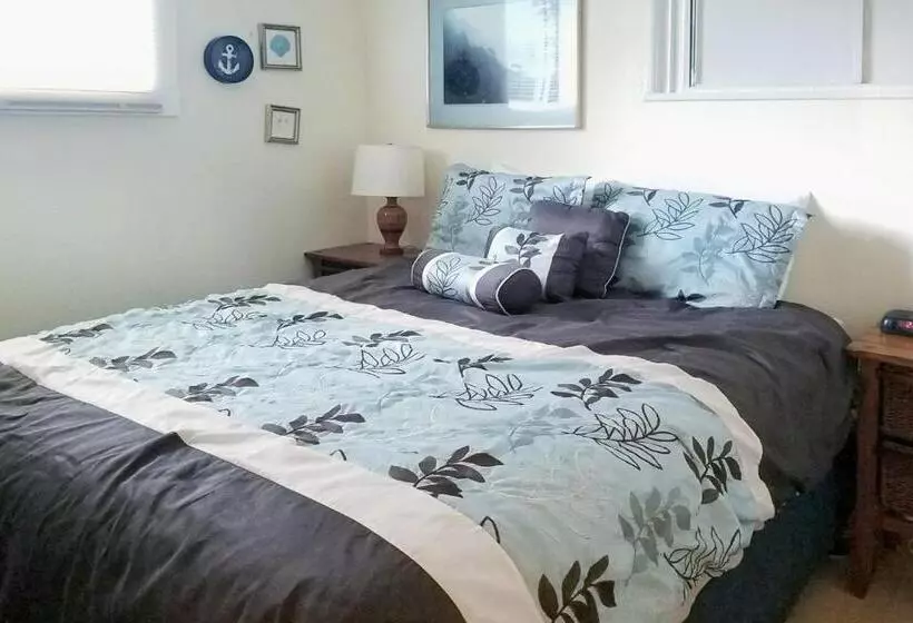 1ベッドルームアパートメント, Ocean Terrace Condominiums