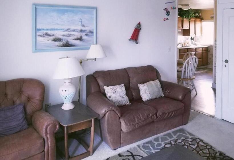 آپارتمان 1 خوابه با بالکن, Ocean Terrace Condominiums