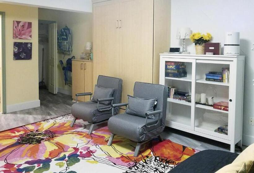 استودیوی استاندارد, Ocean Terrace Condominiums