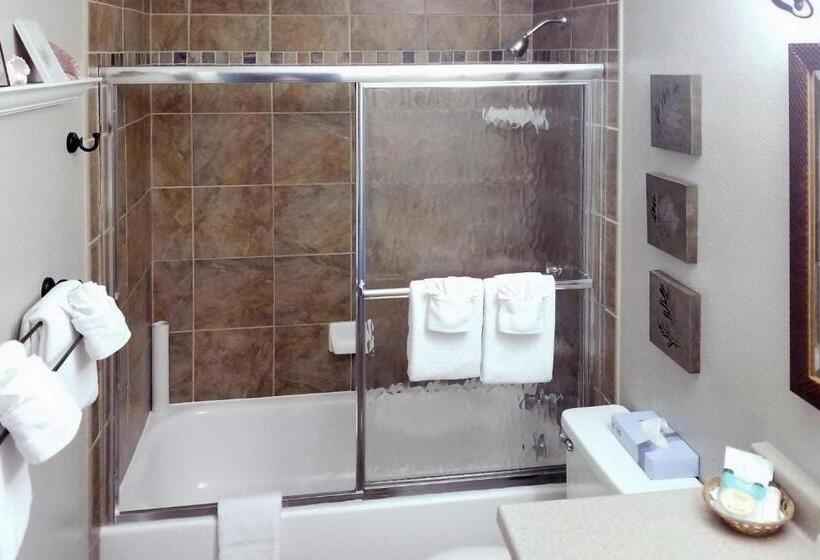 آپارتمان 1 خوابه با چشم‌انداز دریا, Ocean Terrace Condominiums