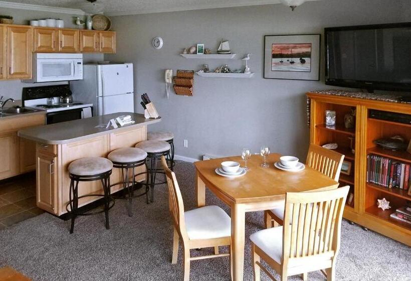 آپارتمان 1 خوابه با چشم‌انداز دریا, Ocean Terrace Condominiums