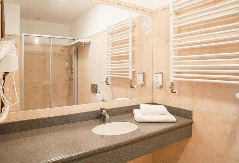 חדר משפתחתי סופריור, Pałac Bielawa