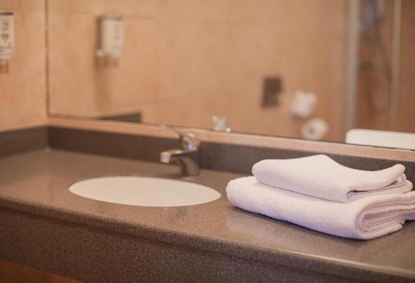 חדר סטנדרט יחיד, Pałac Bielawa