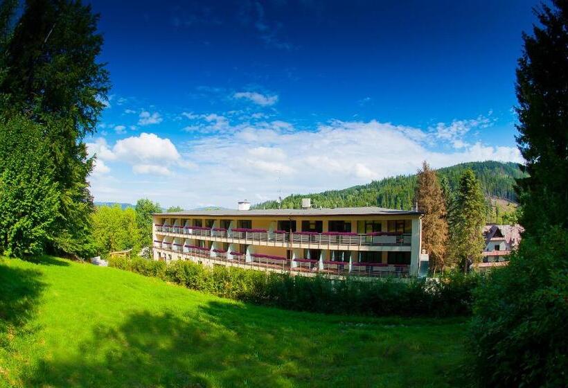 标准工作室带阳台, Podium