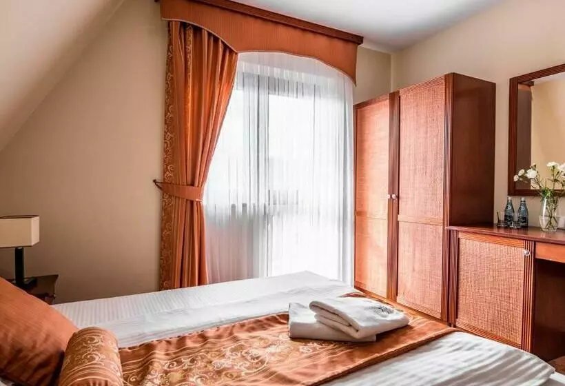 スタンダードルーム, Villa Magnat Spa, Jacuzzi, Sauna, Tężnia Solankowa
