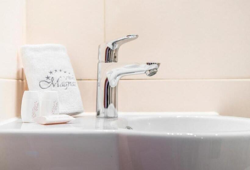 اتاق استاندارد یک نفره, Villa Magnat Spa, Jacuzzi, Sauna, Tężnia Solankowa