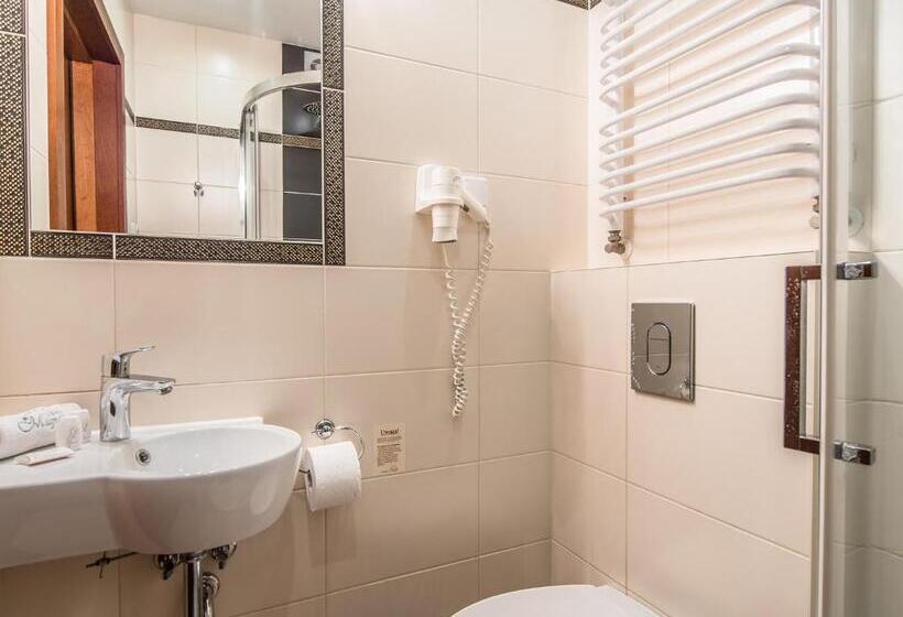 Номер Стандарт Индивидуальный, Villa Magnat Spa, Jacuzzi, Sauna, Tężnia Solankowa