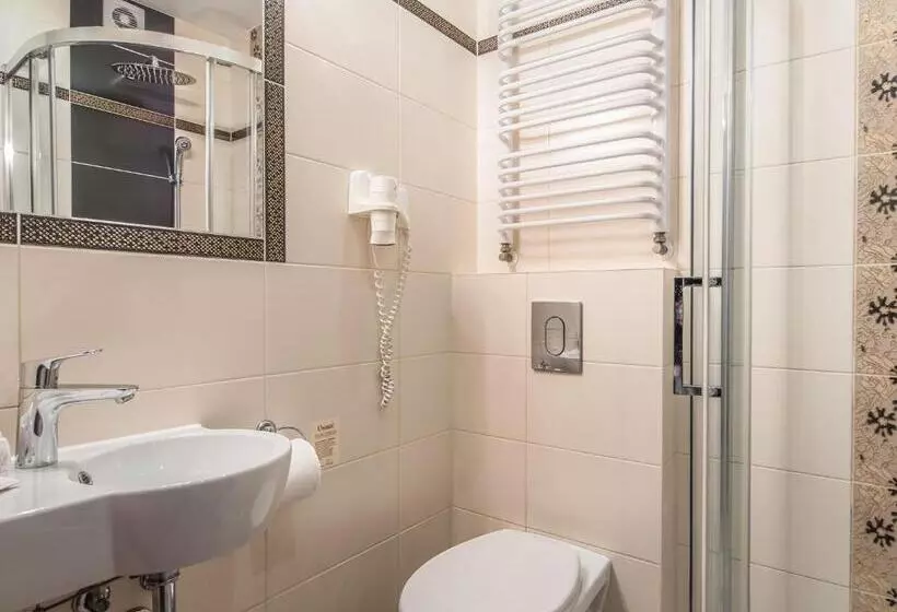 スタンダードシングルルーム, Villa Magnat Spa, Jacuzzi, Sauna, Tężnia Solankowa