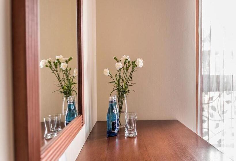 اتاق استاندارد یک نفره, Villa Magnat Spa, Jacuzzi, Sauna, Tężnia Solankowa